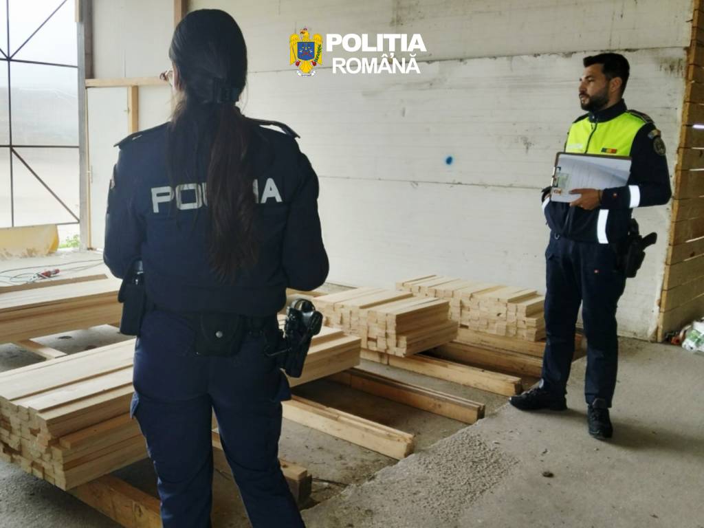 Sancțiuni, lemn confiscat și dosare penale, în urma unor controale în județul Brașov în domeniul silvic (FOTO)
