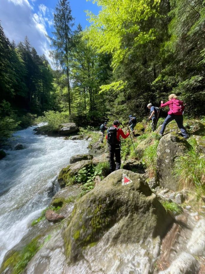 Activitate intensă pentru Salvamont Brașov în weekend, în munți și la competiții sportive