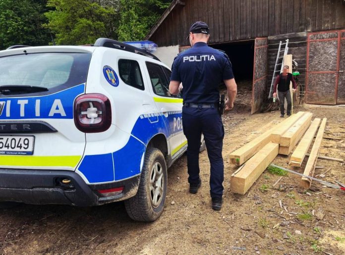 Sancțiuni, lemn confiscat și dosare penale, în urma unor controale în județul Brașov în domeniul silvic (FOTO)