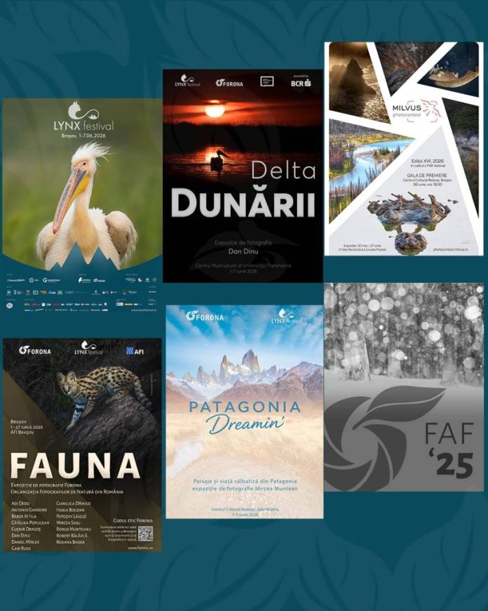 Documentare în premieră și expoziții gratuite, la LYNX Festival Brașov