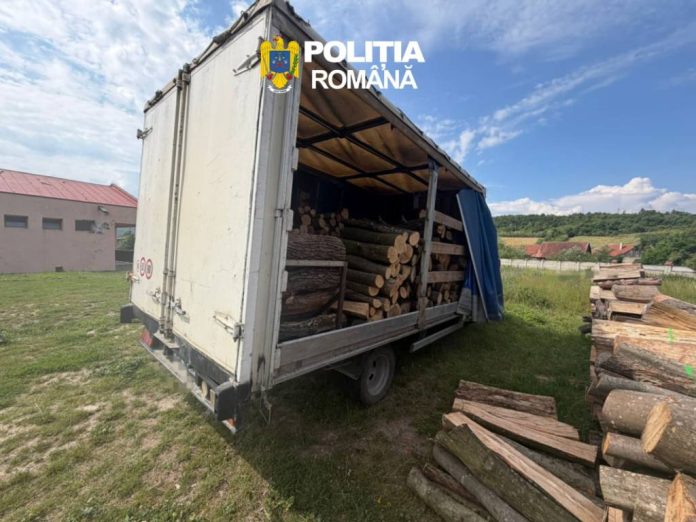 Material lemnos confiscat de polițiști. Dosar penal deschis pe numele unui șofer
