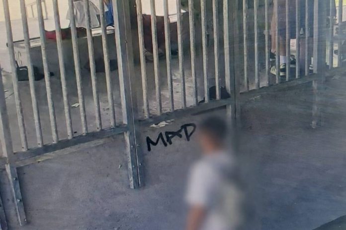Poliția Locală a închis rapid „galeria de artă” din Skate Park-ul Brașov. Adolescent amendat pentru graffiti