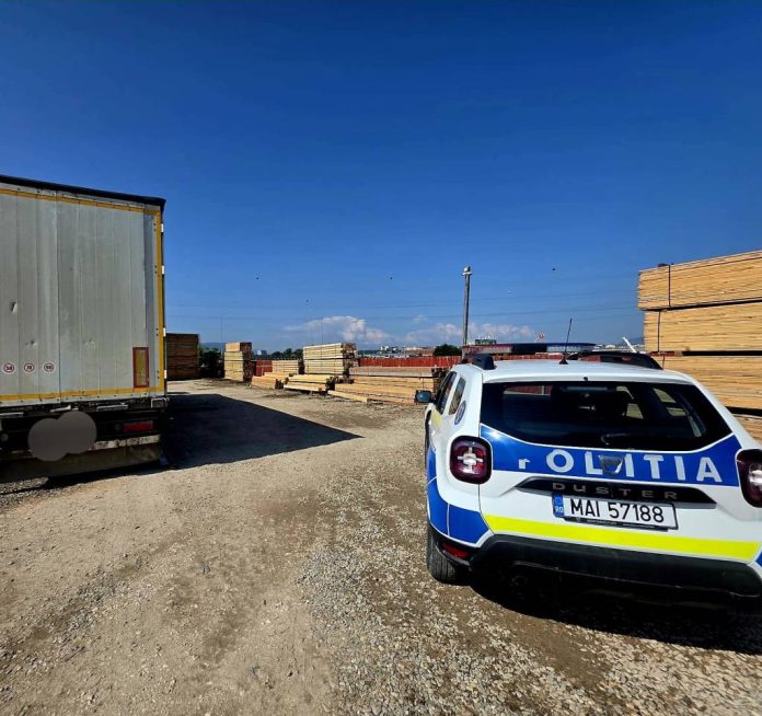 Lemn confiscat și sancțiuni aplicate în urma unor acțiuni împotriva ilegalităților silvice în zona Brașov