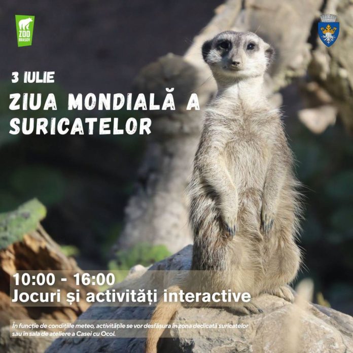 Ziua Mondială a Suricatelor, marcată la Zoo Brașov prin activități educative