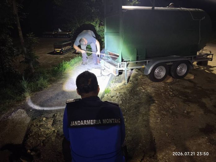 Doi urși capturați în Valea Cetății din Râșnov au fost eutanasiați după ce au revenit în zonă