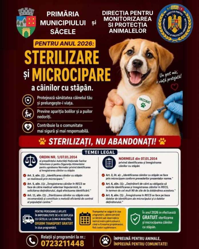 Campanie gratuită de sterilizare și microcipare a câinilor cu stăpân, la Săcele