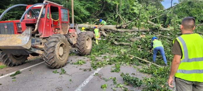 Restricții de circulație pe DN13E, la ieșirea din Sfântu Gheorghe spre Vâlcele