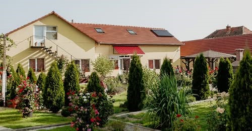 Cronologia completă a cazului Viorel Pașca: „Bunul samaritean” și sistemul paralel