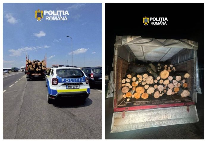 Amenzi și lemn confiscat în urma a două controale ale Poliției privind transportul de material lemnos