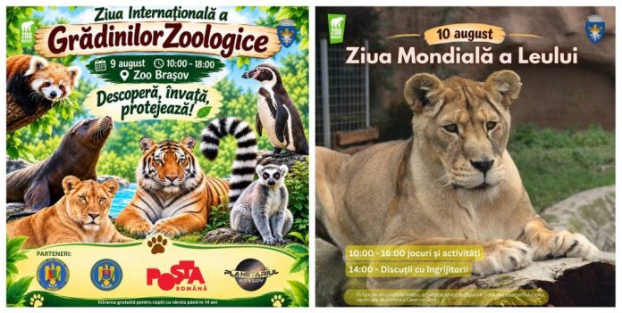 Două zile de evenimente la Grădina Zoologică Brașov: intrare gratuită pentru copii și activități dedicate leilor