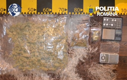 Două persoane, reținute într-un dosar de trafic de droguri. Polițiștii au ridicat 2,6 kilograme de canabis (VIDEO)