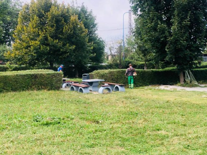 Igienizare și modernizare în cartierul Timiș-Triaj