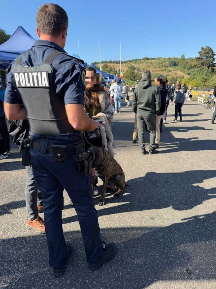 Șapte deținători de câini, cercetați după un control privind protecția animalelor, la Râșnov