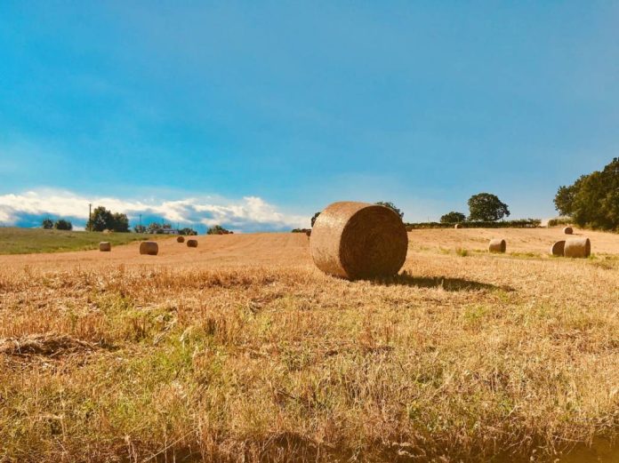 (P) Cum să te pregătești pentru sezonul agricol de toamnă?