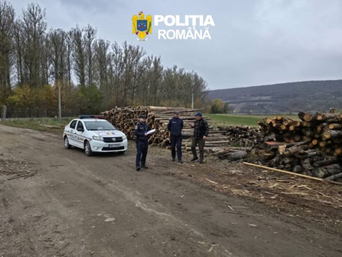 242 de metri cubi de material lemnos, confiscați de polițiștii brașoveni