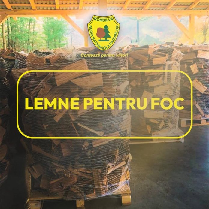 Cât costă lemnul de foc în 2026. Romsilva anunță prețurile și stocurile disponibile