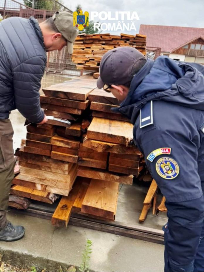 Nereguli în evidența lemnului, descoperite la un agent economic din Săcele